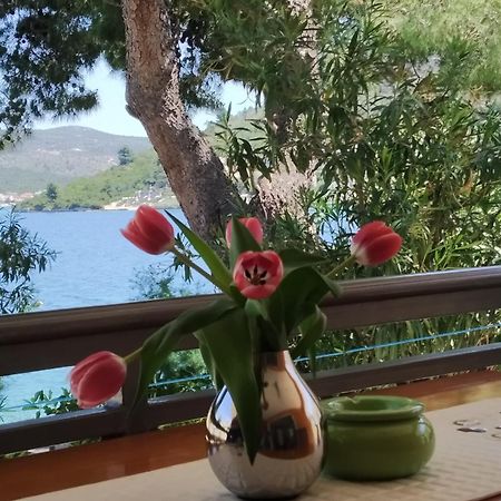 רוגוזניצה Holiday Home Milenka מראה חיצוני תמונה
